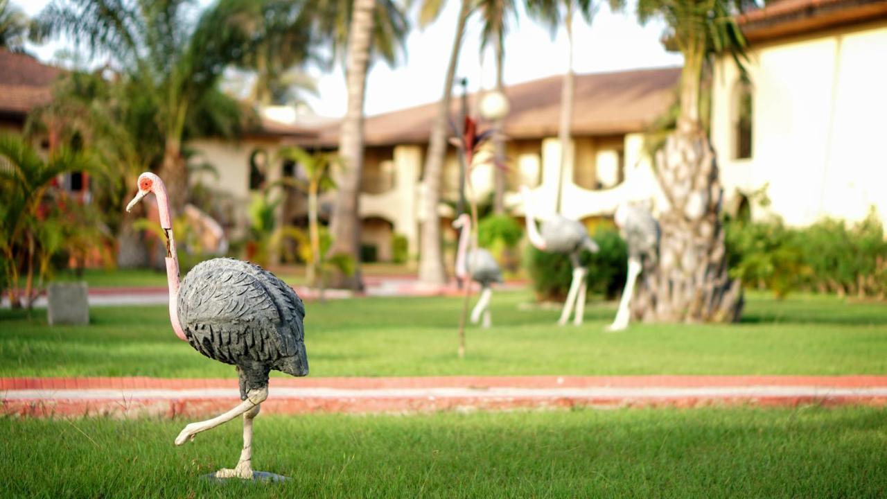 Ocean Bay Hotel & Resort Bakau Ngoại thất bức ảnh